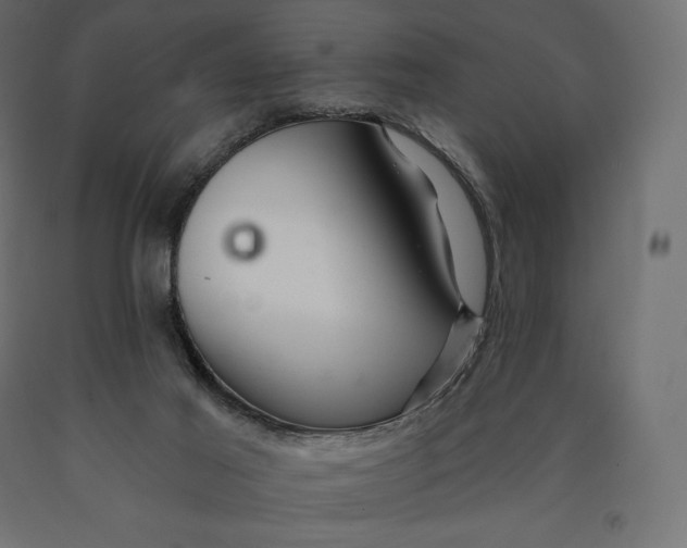 X0000090440021200708031204