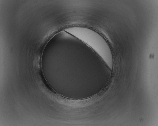 X0000090440023200708031204