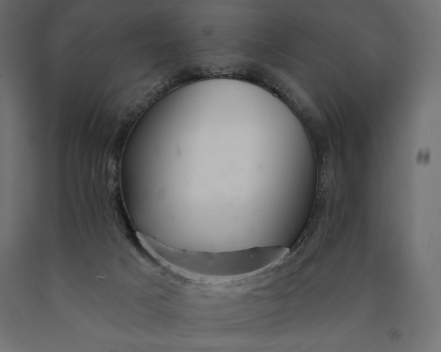 X0000090440025200708031204