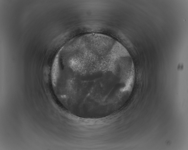 X0000090440026200708031204