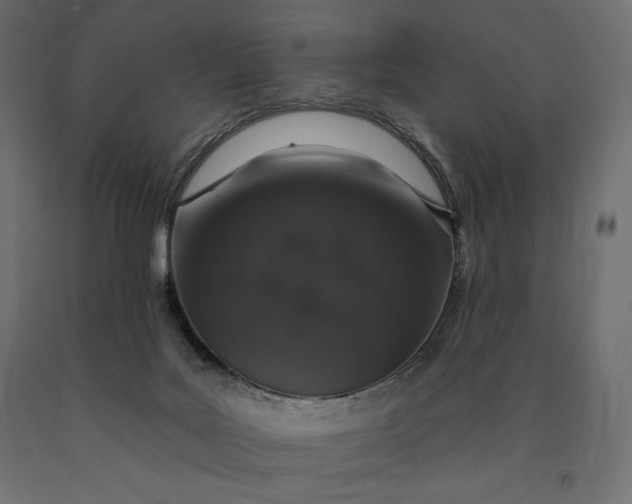 X0000090440027200708031204