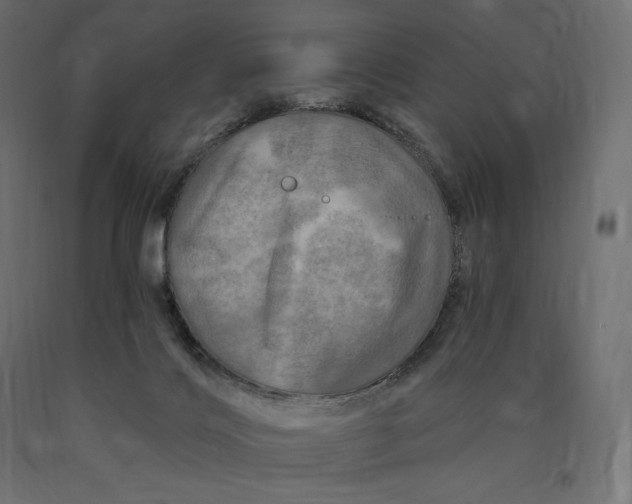 X0000090440028200708031204