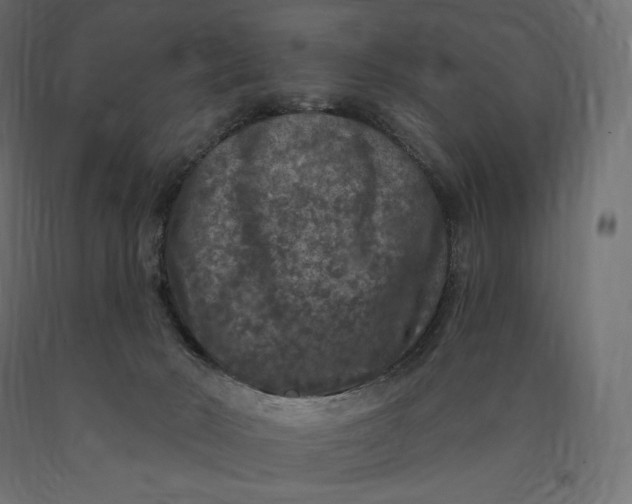 X0000090440030200708031204