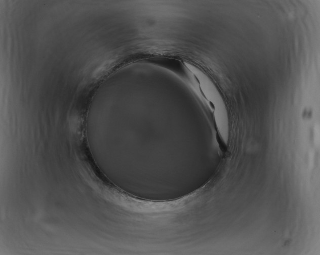 X0000090440031200708031204