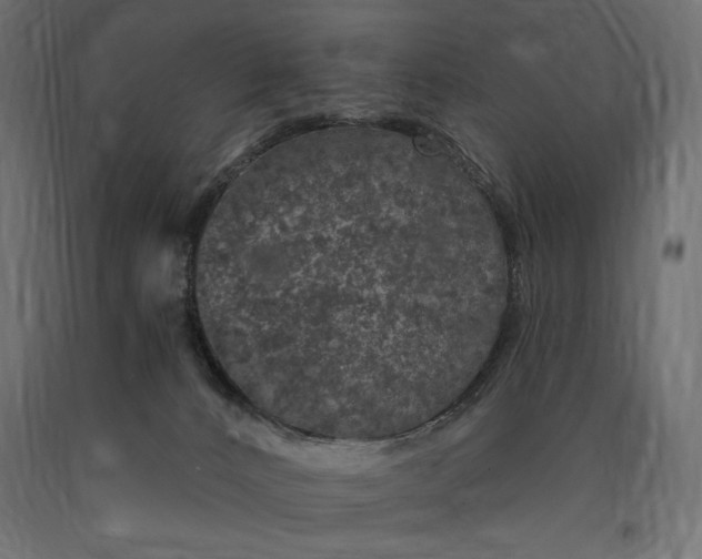 X0000090440032200708031204