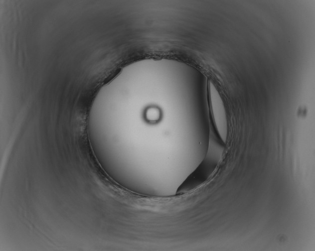 X0000090440033200708031204