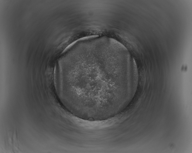 X0000090440034200708031204