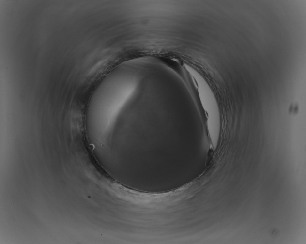 X0000090440035200708031204