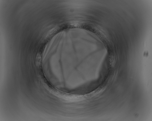 X0000090440036200708031204