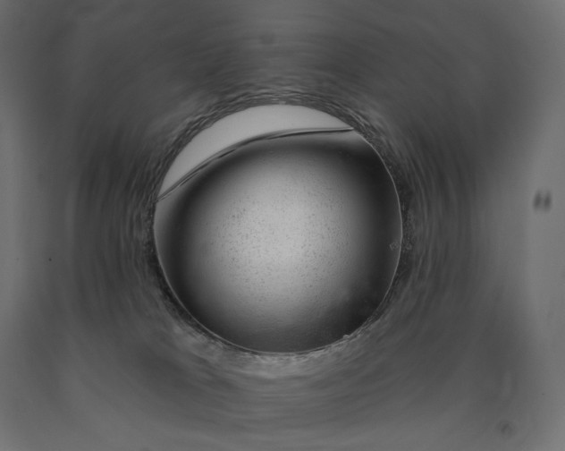 X0000090440037200708031204