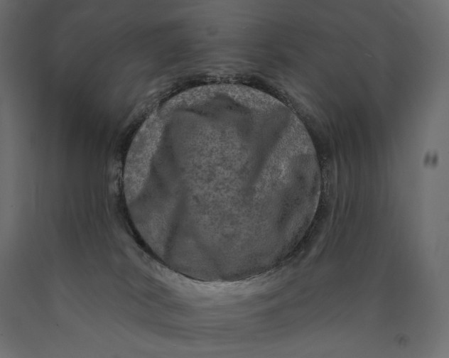 X0000090440038200708031204