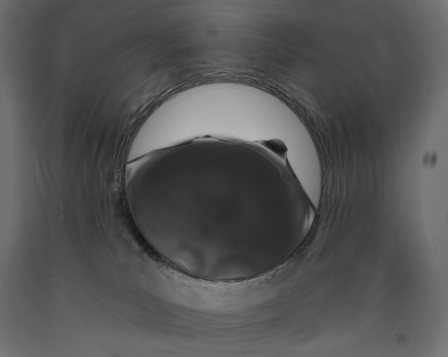 X0000090440039200708031204