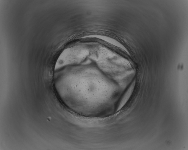 X0000090440040200708031204