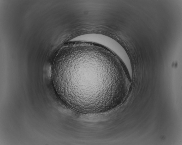 X0000090440041200708031204