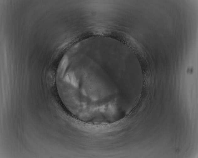 X0000090440043200708031204