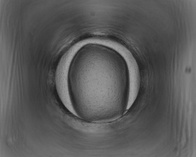 X0000090440044200708031204