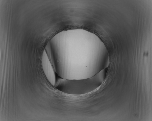 X0000090440045200708031204