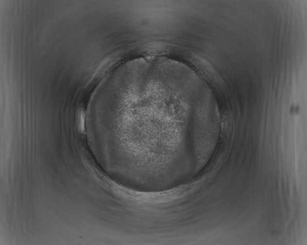 X0000090440046200708031204