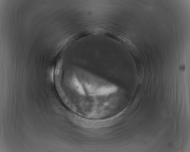 X0000090440047200708031204