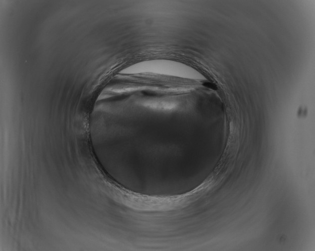 X0000090440048200708031204