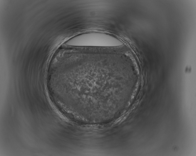 X0000090440049200708031203