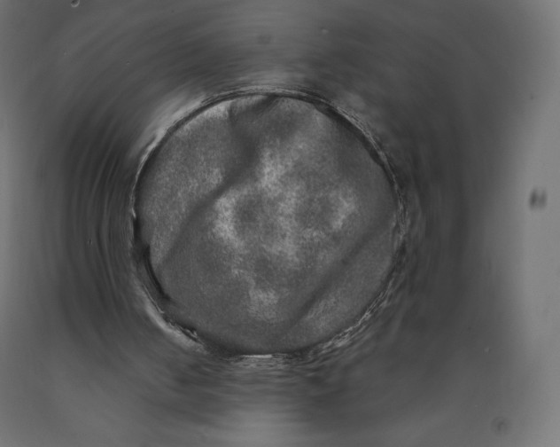 X0000090440050200708031203