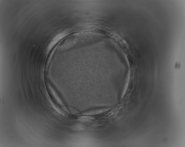 X0000090440051200708031203