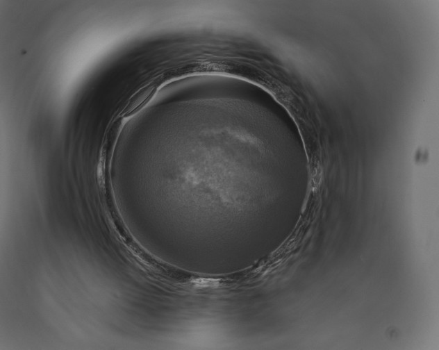 X0000090440052200708031203