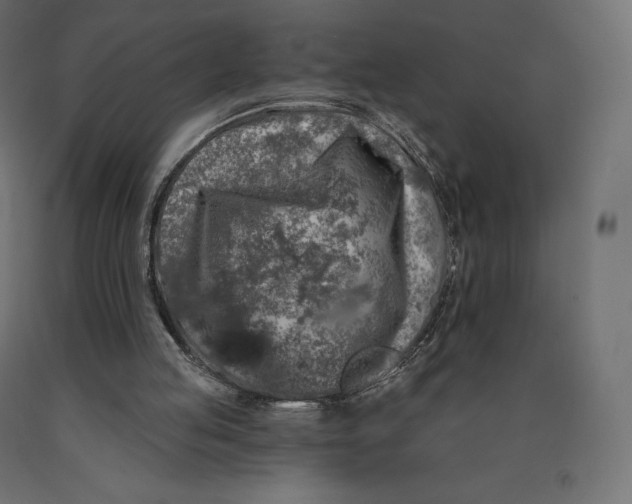 X0000090440053200708031203