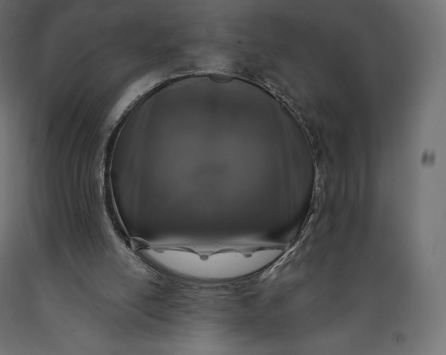 X0000090440054200708031203