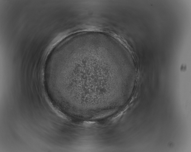 X0000090440055200708031203