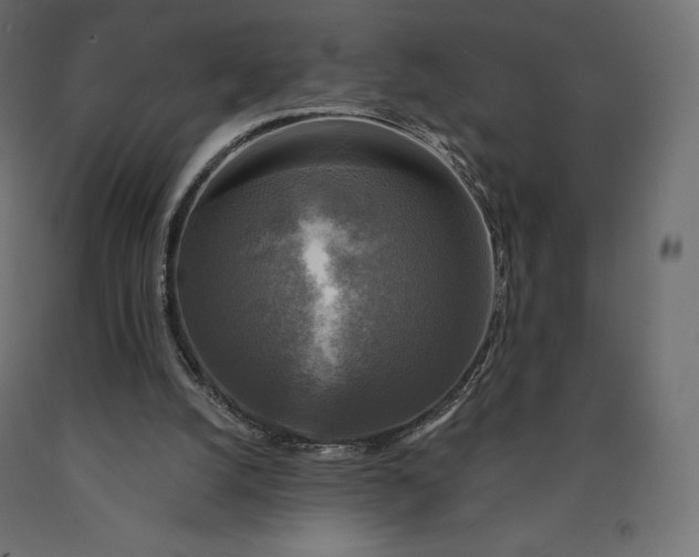 X0000090440056200708031203