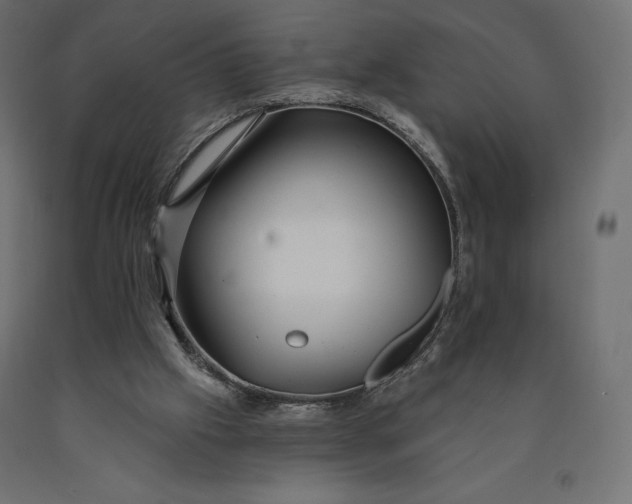 X0000090440057200708031203