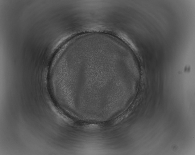 X0000090440058200708031203