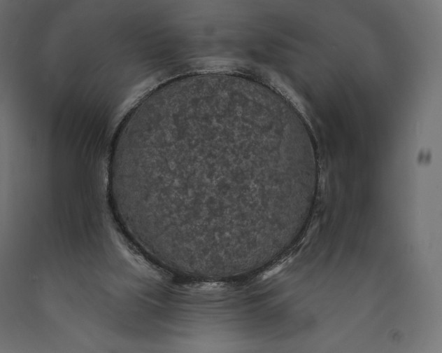 X0000090440059200708031203