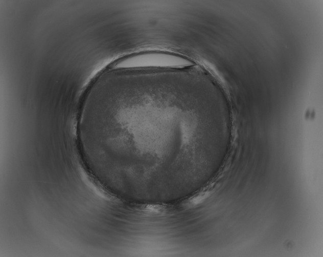 X0000090440060200708031203