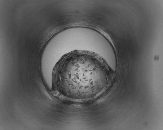 X0000090440061200708031203