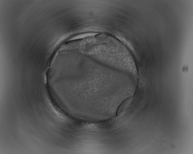 X0000090440062200708031203