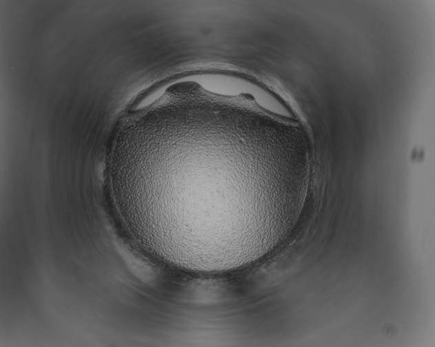 X0000090440063200708031203