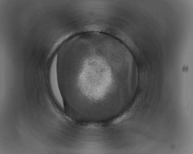 X0000090440064200708031203