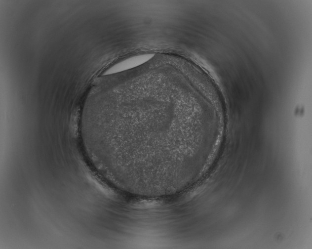 X0000090440065200708031203