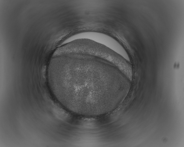 X0000090440066200708031203