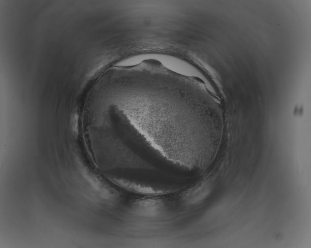 X0000090440067200708031203