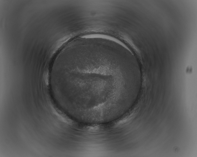 X0000090440068200708031204