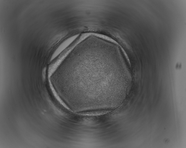 X0000090440070200708031204