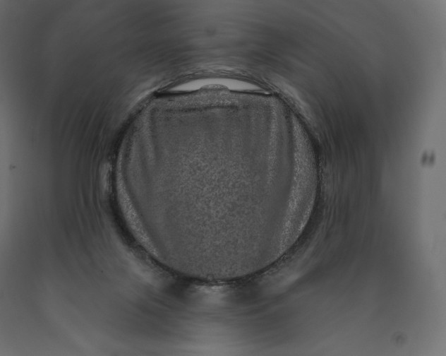 X0000090440071200708031204