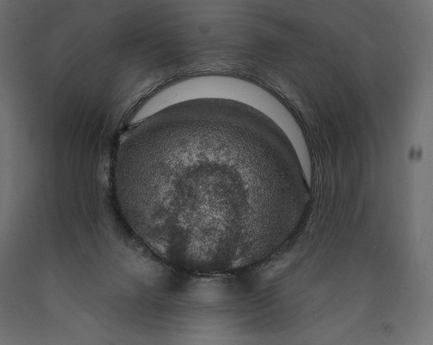 X0000090440072200708031204