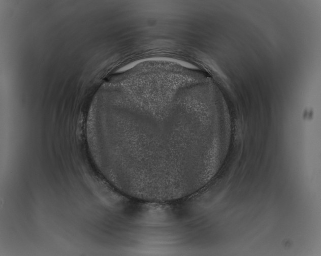 X0000090440073200708031204