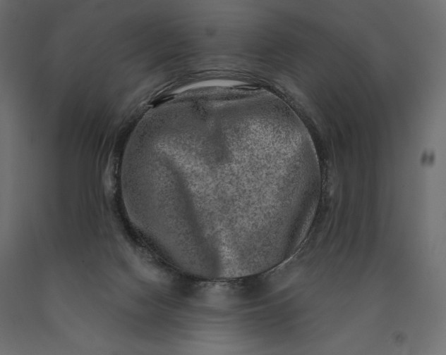 X0000090440074200708031204