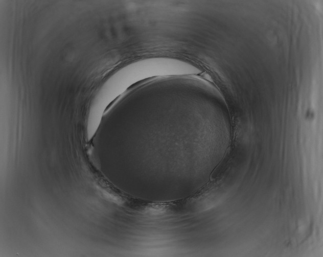 X0000090440076200708031204